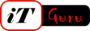 IT Guru
